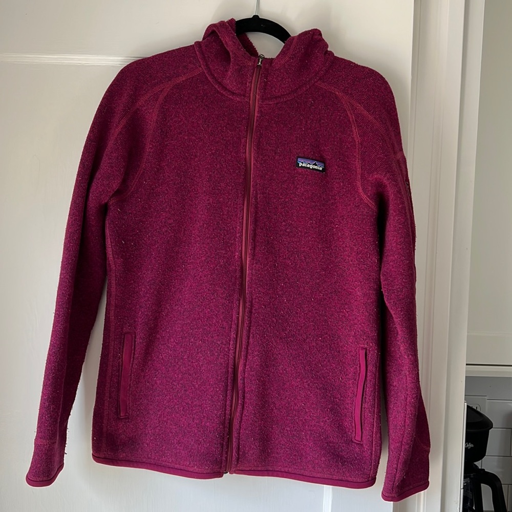 Patagonia Better Sweater Hoodie fuchsia